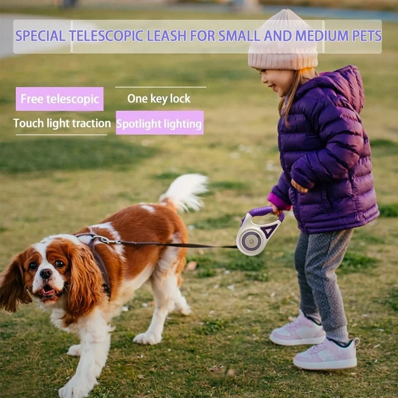 Luminous lead for pets - Image 3