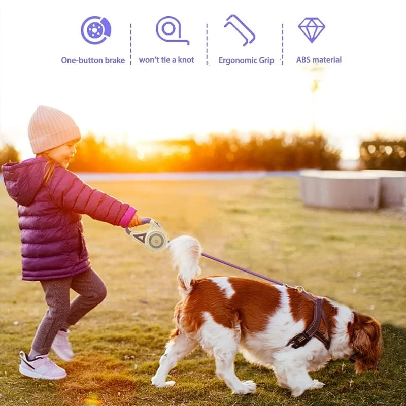 Luminous lead for pets - Image 4