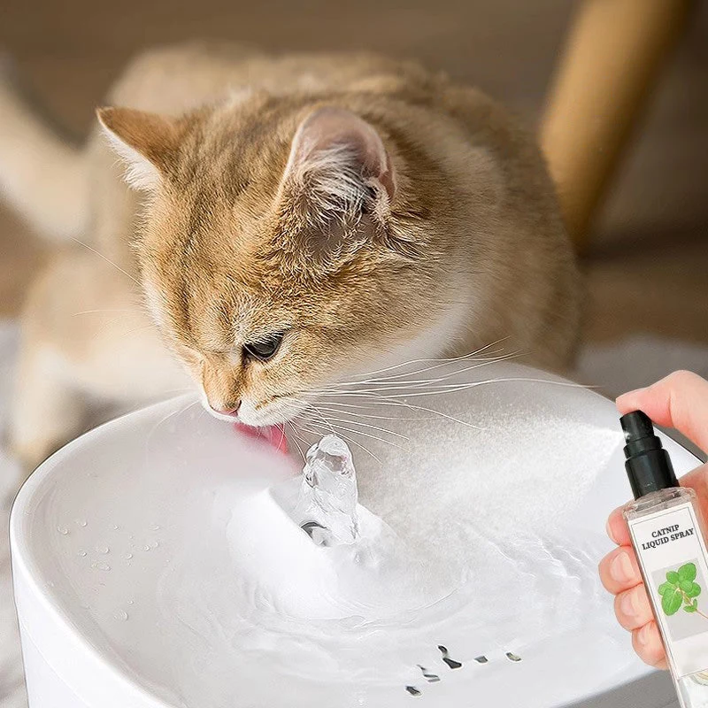 Catnip Liquid Spray - Safe, Pure, and Potent - Image 2