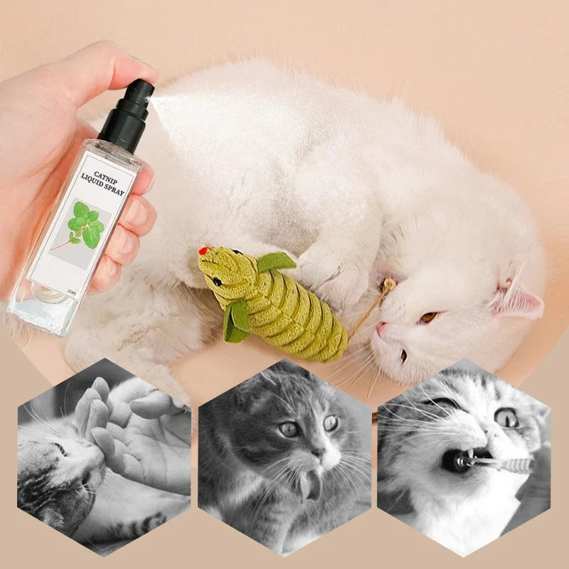 Catnip Liquid Spray - Safe, Pure, and Potent - Image 3