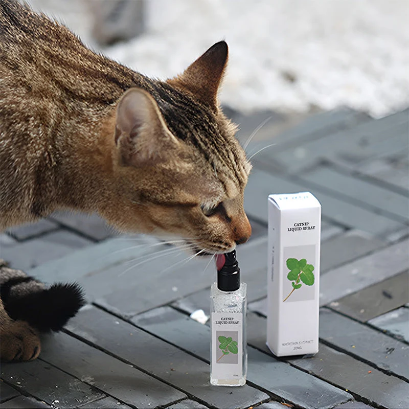 Catnip Liquid Spray - Safe, Pure, and Potent - Image 6