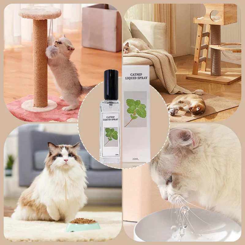 Catnip Liquid Spray - Safe, Pure, and Potent - Image 7