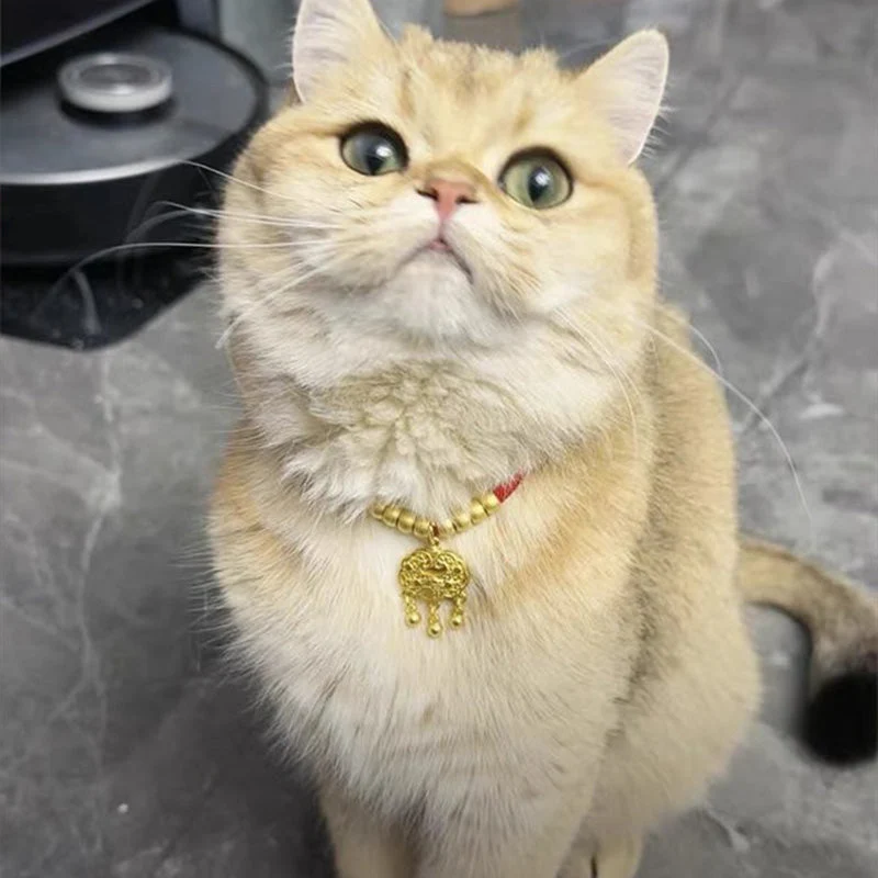 🥰Pet New Year Gold Lock Collar - Image 10