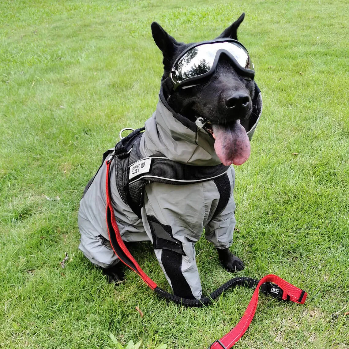 Reflective All-weather Waterproof Dog Rain Coat - Image 5