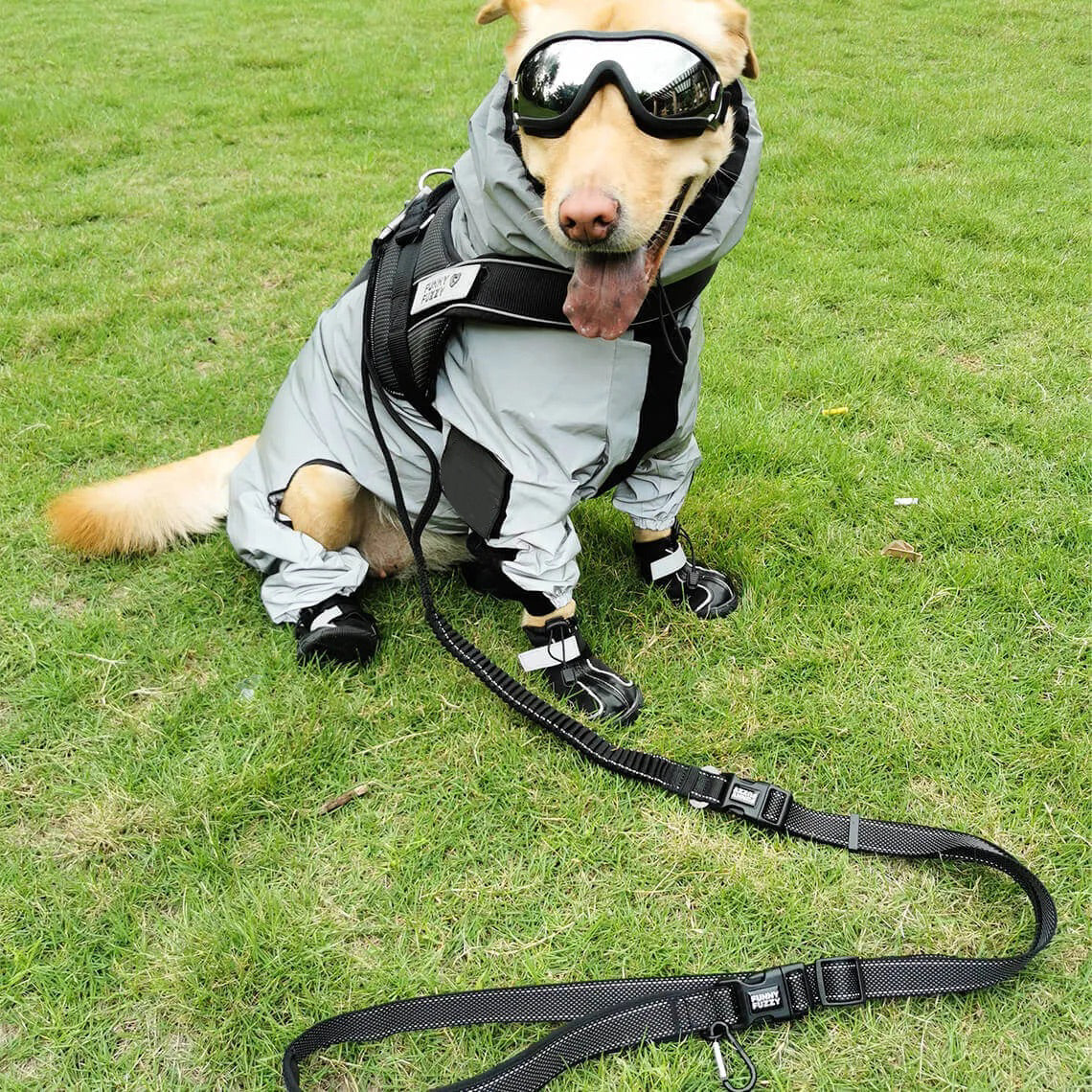 Reflective All-weather Waterproof Dog Rain Coat - Image 6