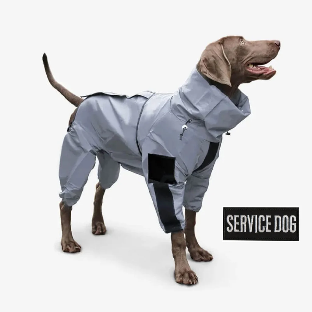 Reflective All-weather Waterproof Dog Rain Coat - Image 7