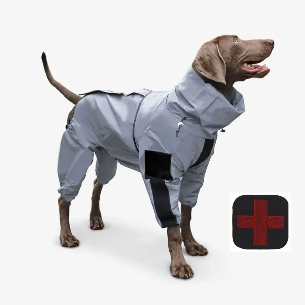 Reflective All-weather Waterproof Dog Rain Coat - Image 8