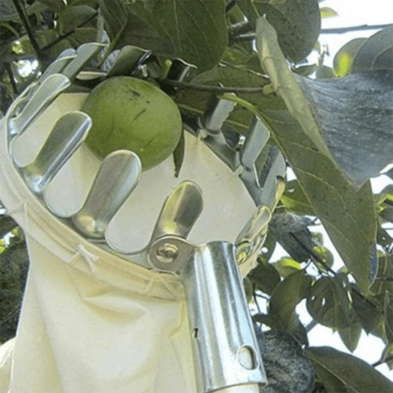 🔥🔥Fruit Picker Head Basket - Image 10