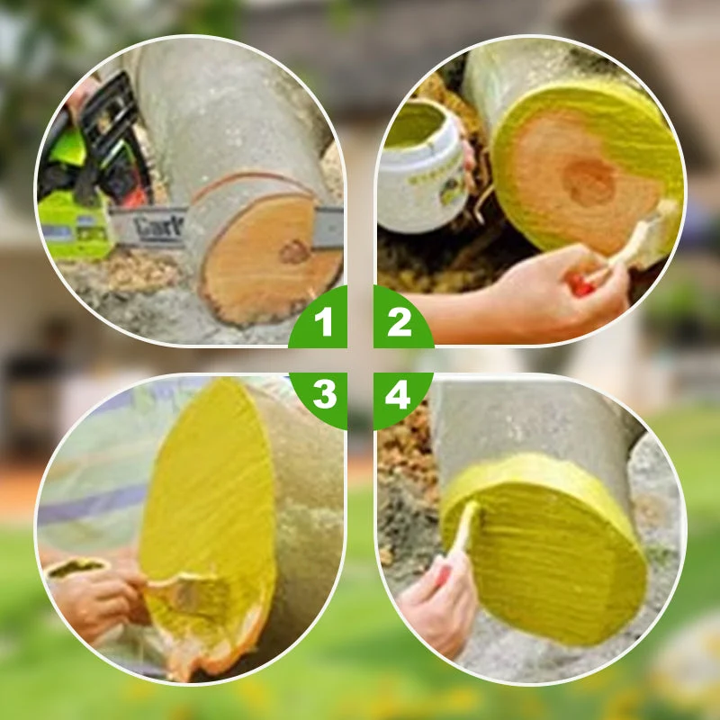 Healing Antiseptic Ointment for Tree Wound - Image 3