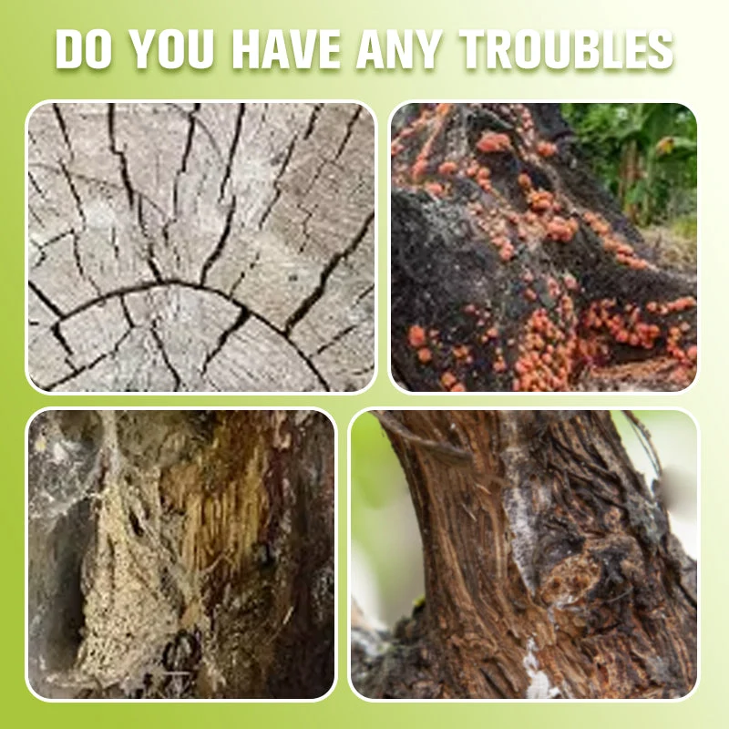 Healing Antiseptic Ointment for Tree Wound - Image 5