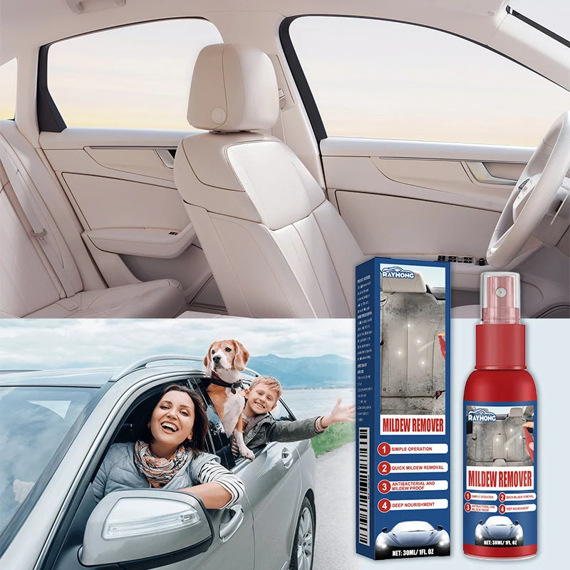 Mild Formula Car Interior Mildew Remover - Image 2