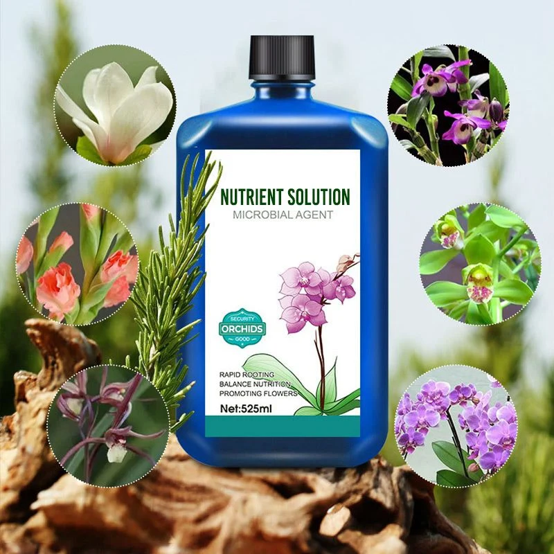 🔥🔥Flower concentrated nutrient solution - Image 3