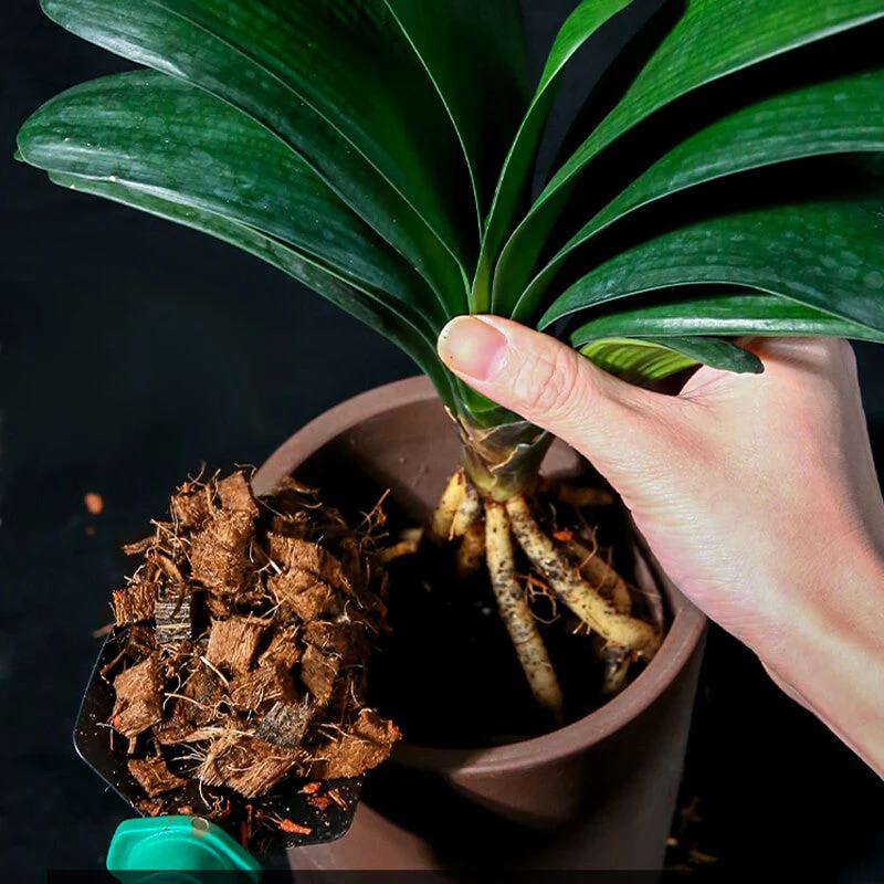 Small coconut shell brick nutrient soil - Image 4