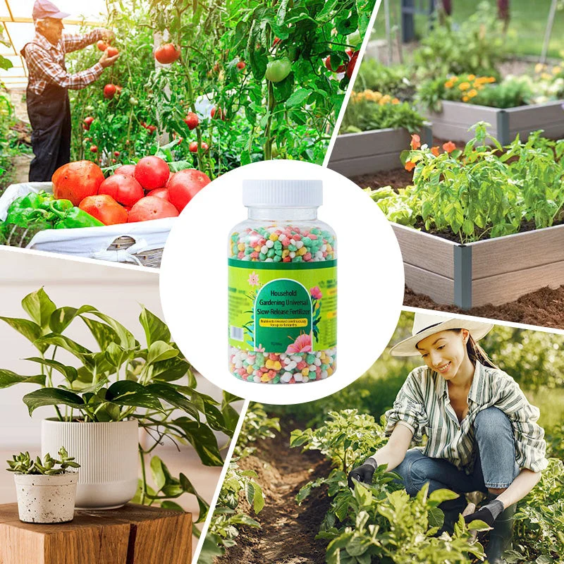 Organics Granular All Purpose Fertilizer - Image 4