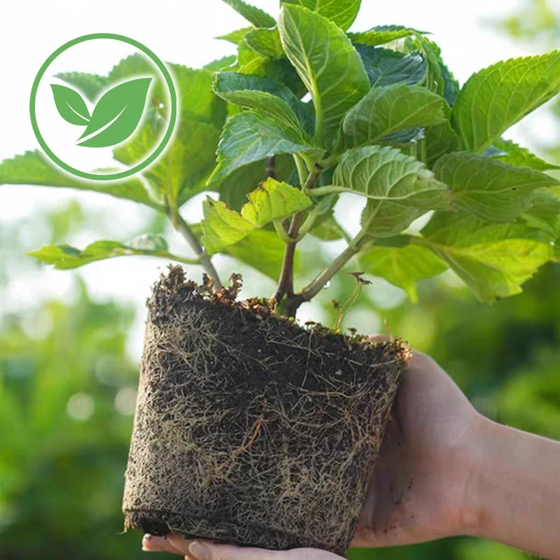 Organics Granular All Purpose Fertilizer - Image 7
