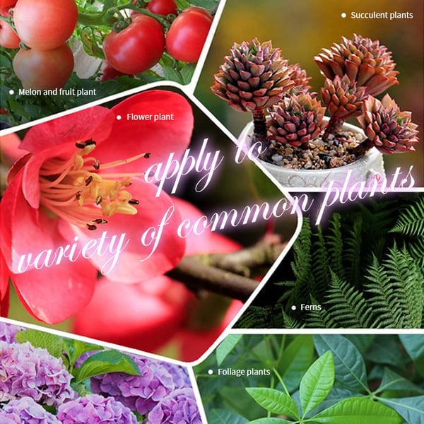 🎅🔥2024 Hot Sale $16.99🎄🎉Home Gardening Universal Slow-Release Tablet Organic Fertilizer (22 PCS)(50% OFF) - Image 2