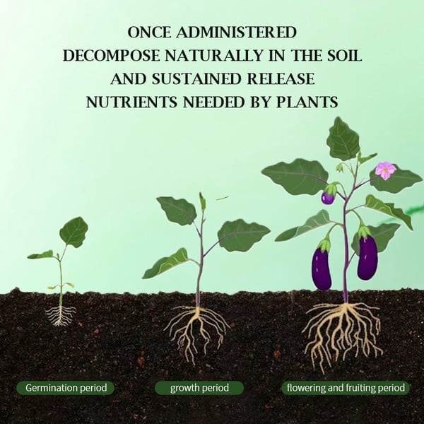 🎅🔥2024 Hot Sale $16.99🎄🎉Home Gardening Universal Slow-Release Tablet Organic Fertilizer (22 PCS)(50% OFF) - Image 5