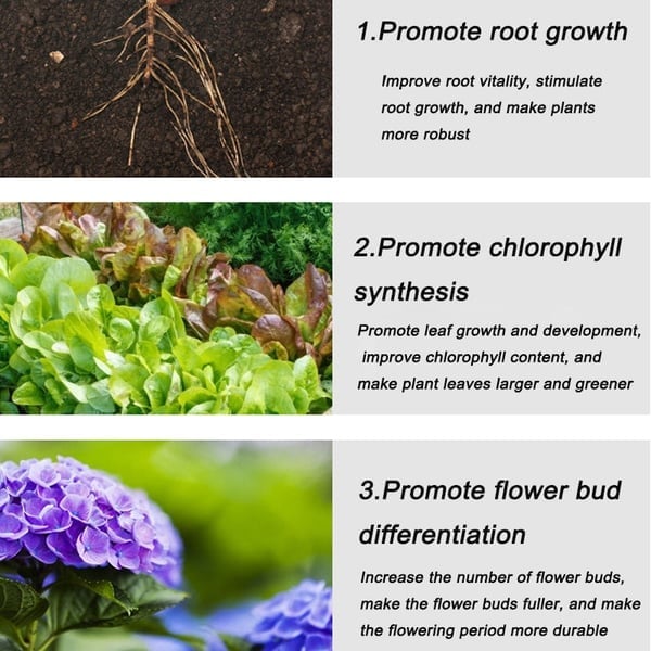 🎅🔥2024 Hot Sale $16.99🎄🎉Home Gardening Universal Slow-Release Tablet Organic Fertilizer (22 PCS)(50% OFF) - Image 6