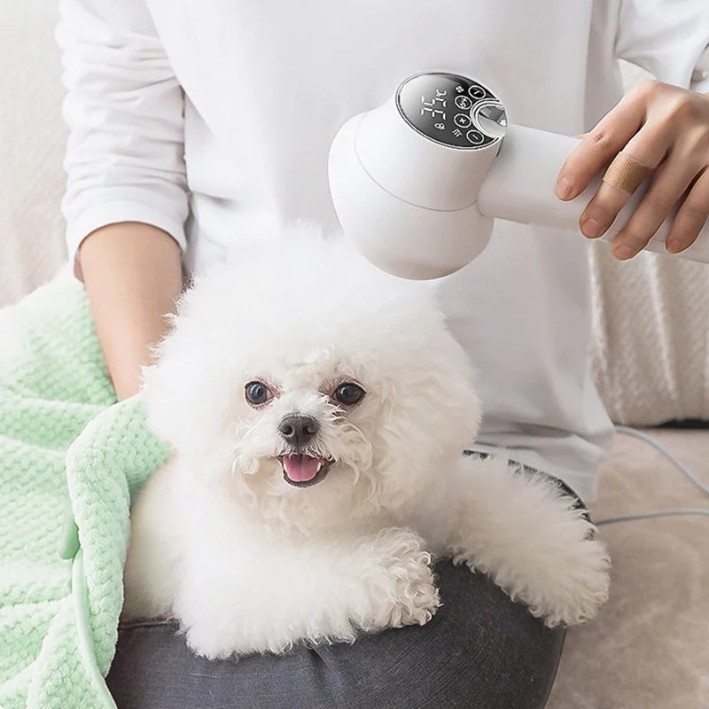 Low Noise Pet Hair Dryer with Slicker Brush - Image 2