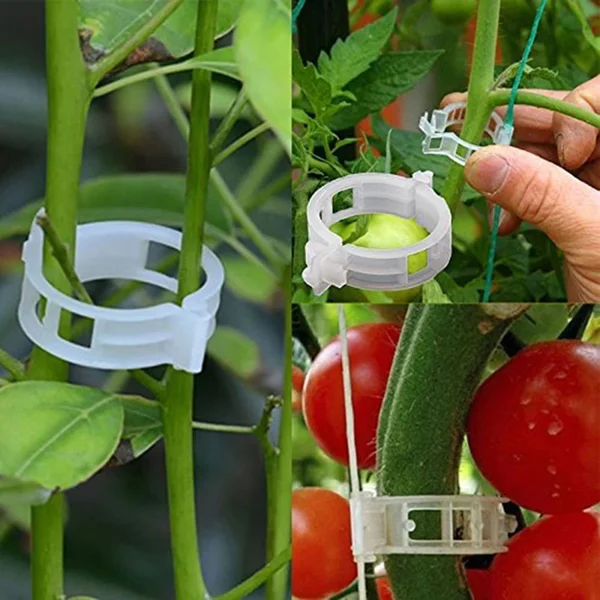 💥2024 Hot Sale 49% OFF💥 Secured Plastic Plant Clip(BUY 3 GET 2 FREE) - Image 6
