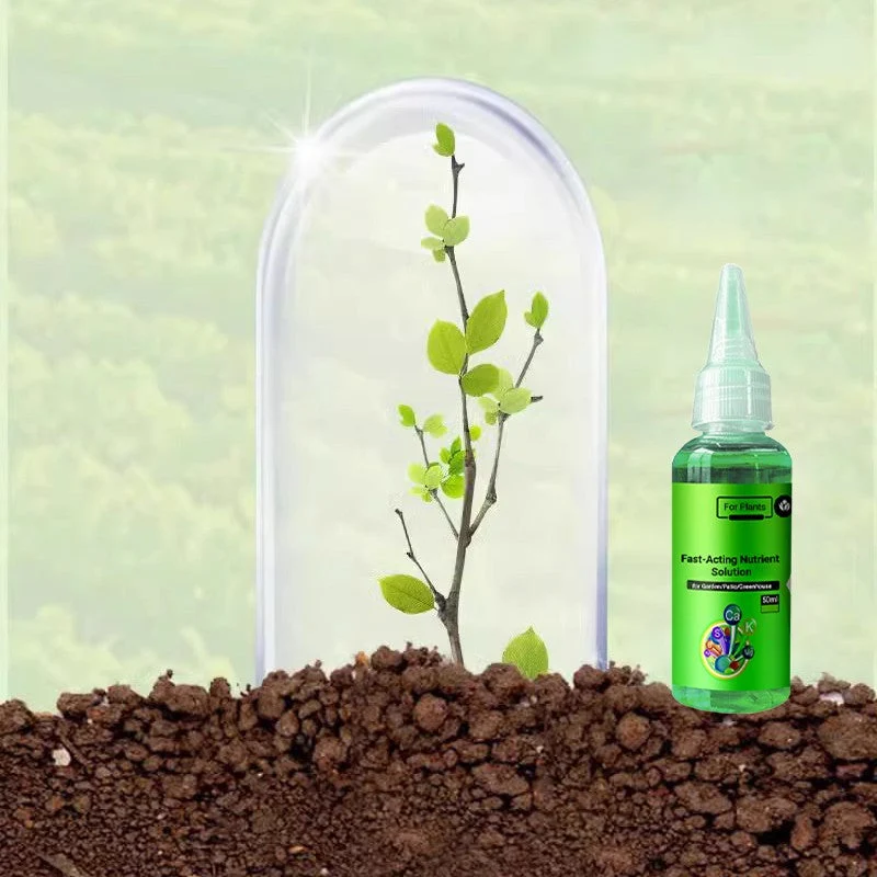 Fast-Acting Nutrient Solution for Plants - Image 6