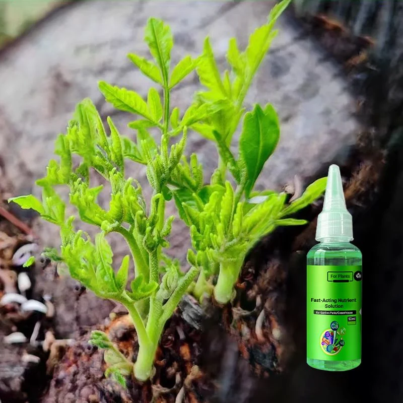 Fast-Acting Nutrient Solution for Plants - Image 8