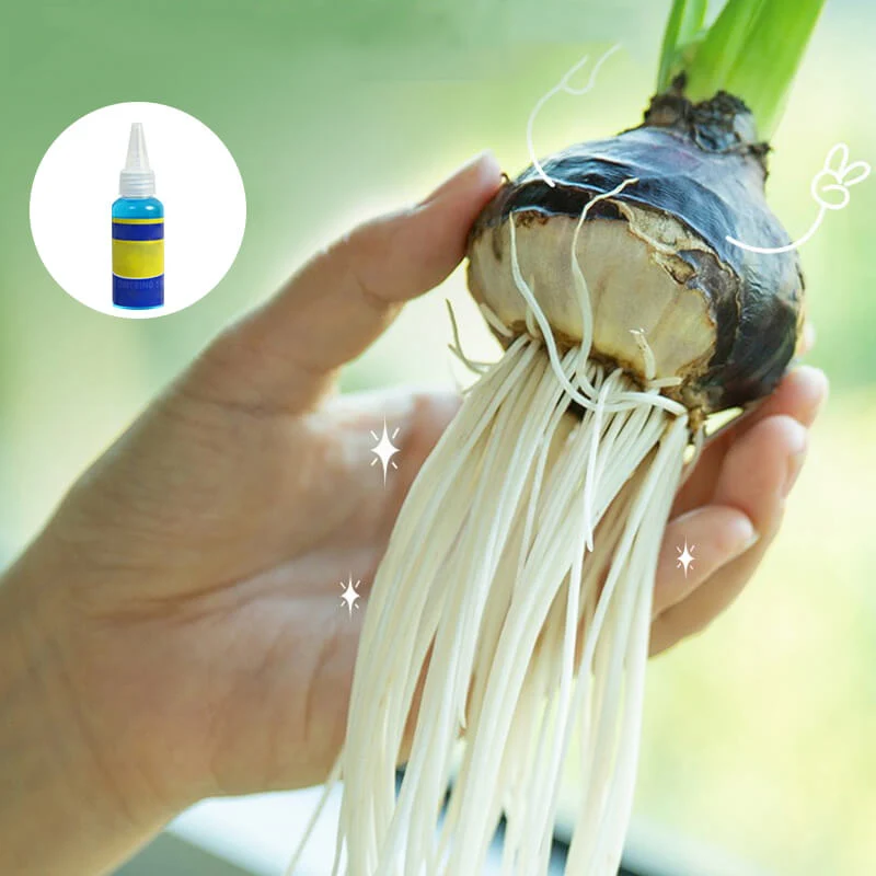 Professional nutrient solution for flowering potted plants - Image 4