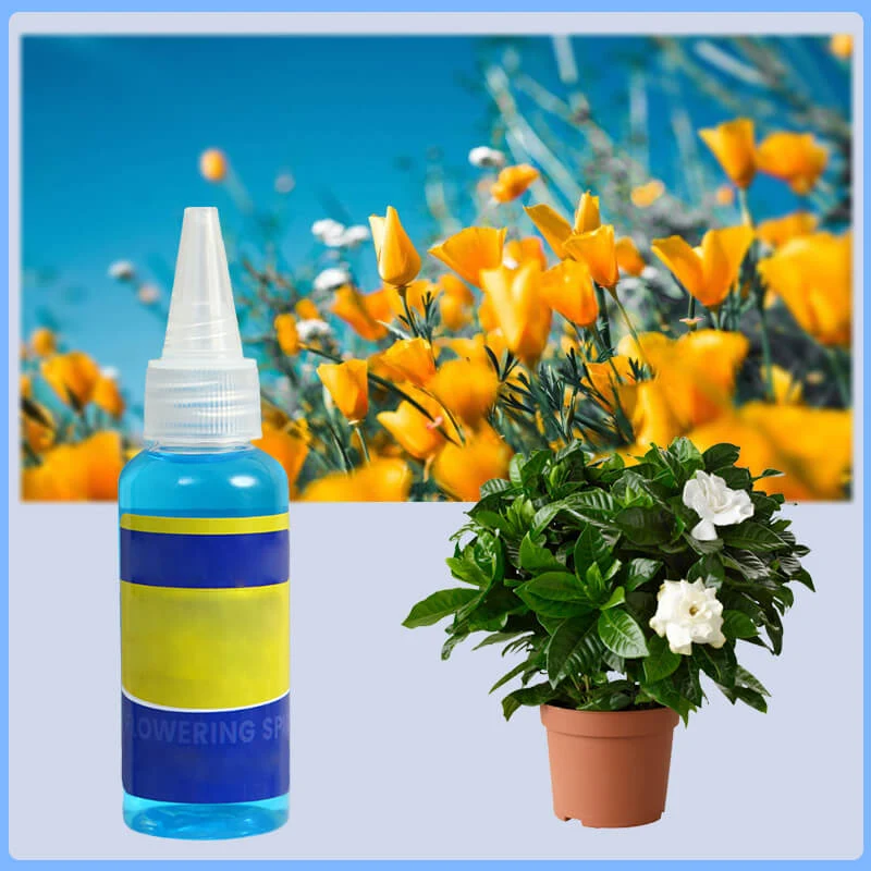 Professional nutrient solution for flowering potted plants - Image 5