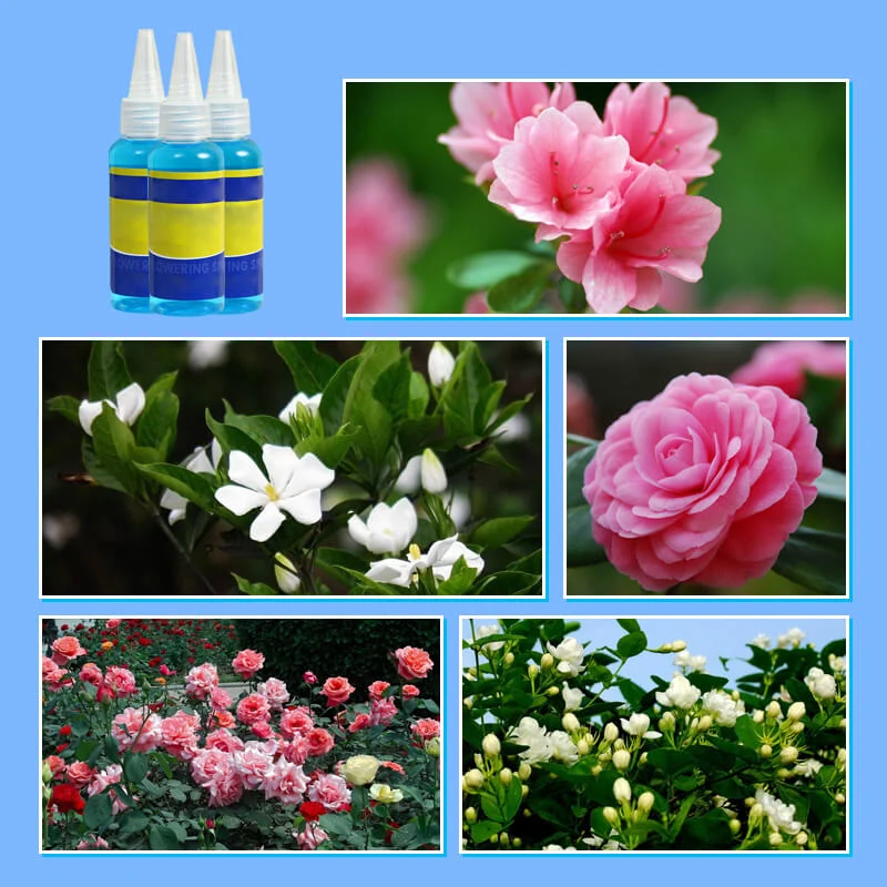 Professional nutrient solution for flowering potted plants - Image 6
