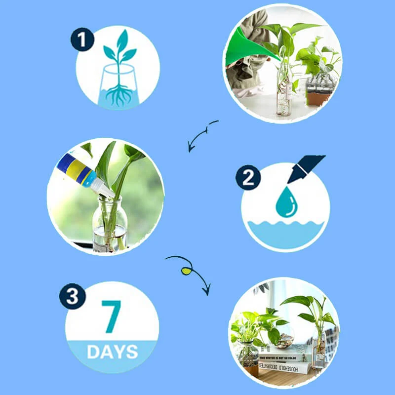Professional nutrient solution for flowering potted plants - Image 8