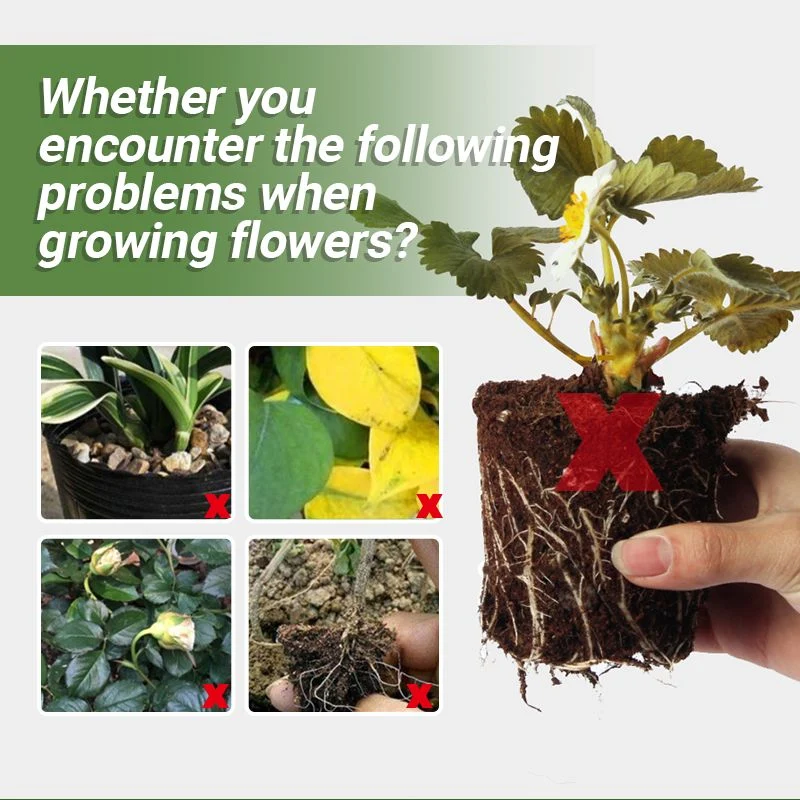 Detroit®Special Bone Meal Organic Fertilizer - Promote The Growth of Flowers and Fruits🔥 - Image 2