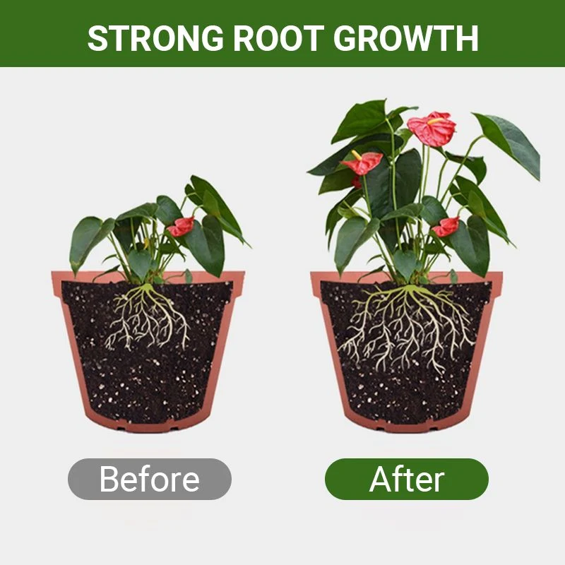 Detroit®Special Bone Meal Organic Fertilizer - Promote The Growth of Flowers and Fruits🔥 - Image 3