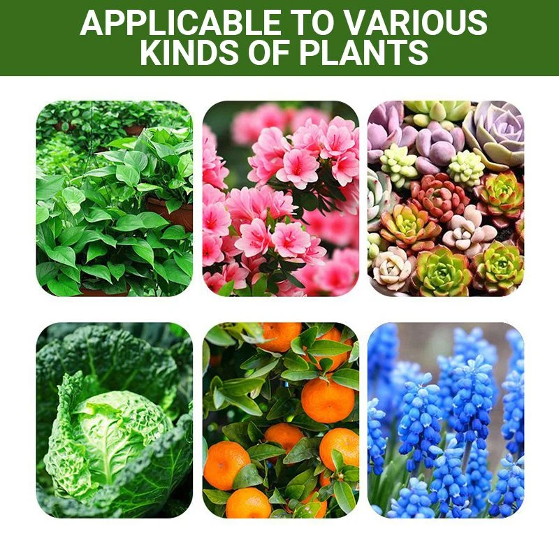 Detroit®Special Bone Meal Organic Fertilizer - Promote The Growth of Flowers and Fruits🔥 - Image 5