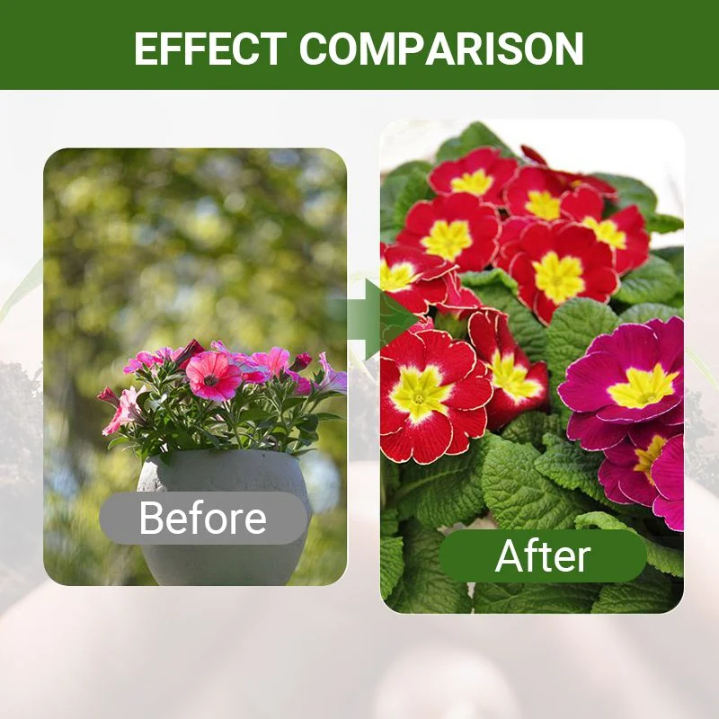 Detroit®Special Bone Meal Organic Fertilizer - Promote The Growth of Flowers and Fruits🔥 - Image 6