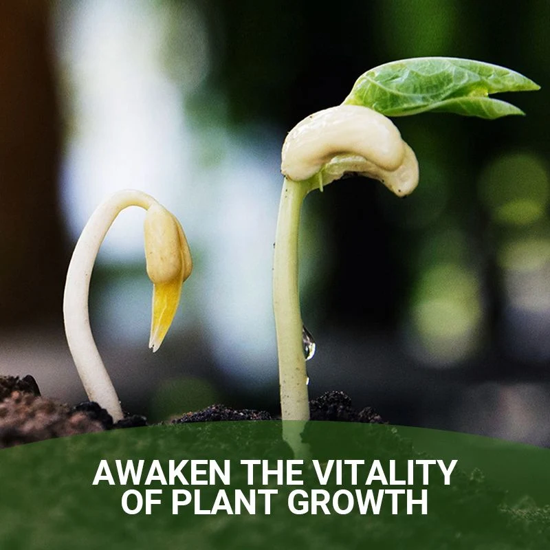 Detroit®Special Bone Meal Organic Fertilizer - Promote The Growth of Flowers and Fruits🔥 - Image 7
