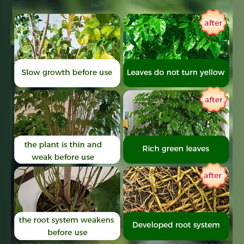 🌱 50% OFF - Rapid Bloom Booster Powder | Fast Root Growth + Bigger Flowers!🌸 - Image 4