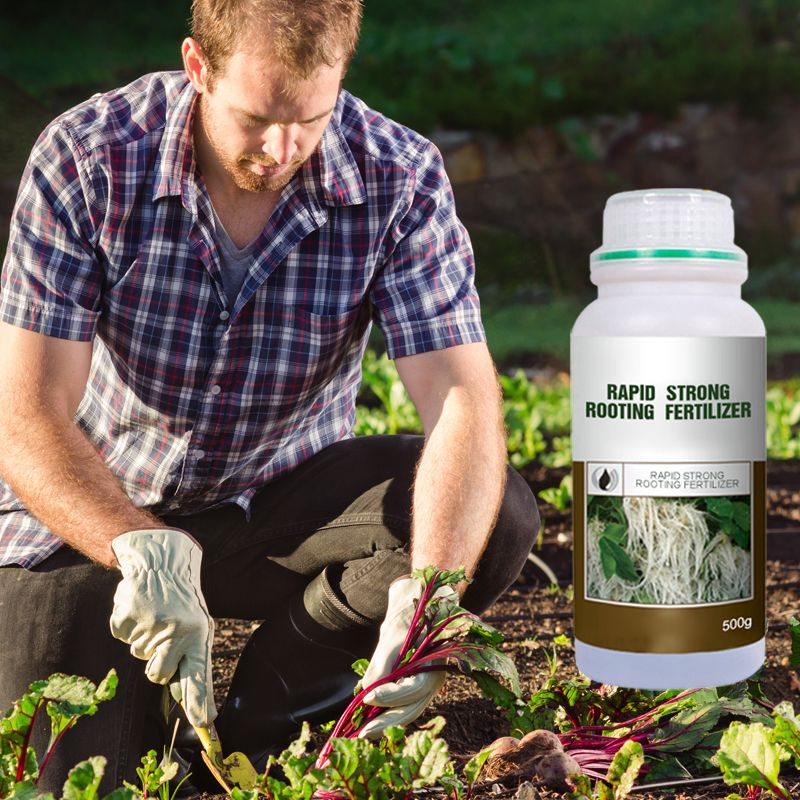 Rapid Strong Rooting Fertilizer - Image 2