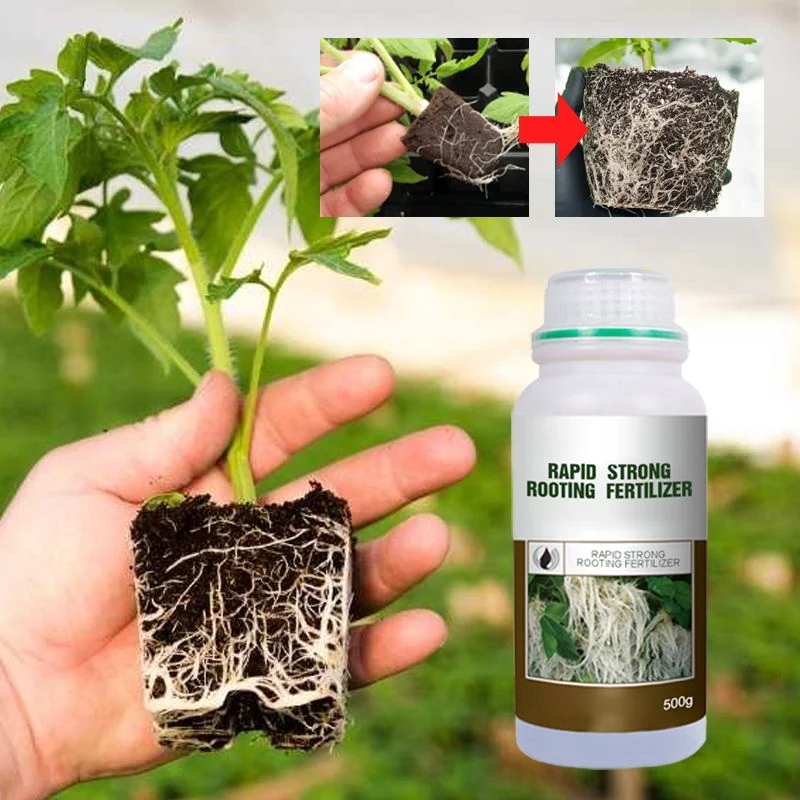 Rapid Strong Rooting Fertilizer - Image 4