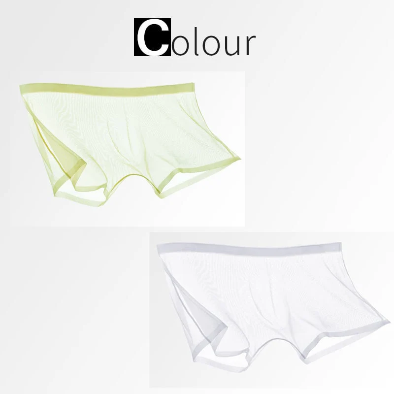 Ice Silk Sexy Mesh Full Transparent Boxer Shorts - Image 10