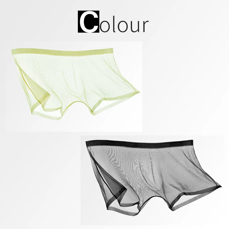 Ice Silk Sexy Mesh Full Transparent Boxer Shorts - Image 11