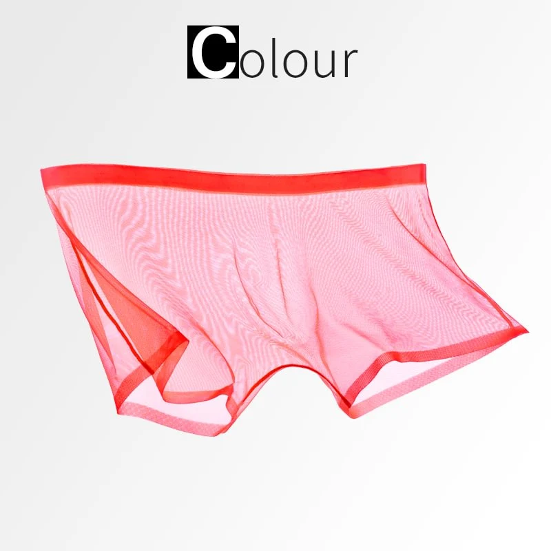Ice Silk Sexy Mesh Full Transparent Boxer Shorts - Image 2