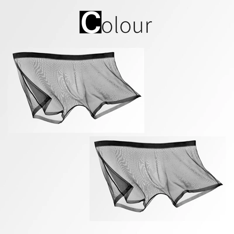Ice Silk Sexy Mesh Full Transparent Boxer Shorts - Image 6