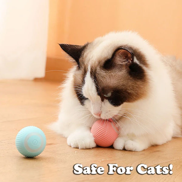 BUY 1 GET 1 FREE🔥The Smart Kitty Ball - Image 3