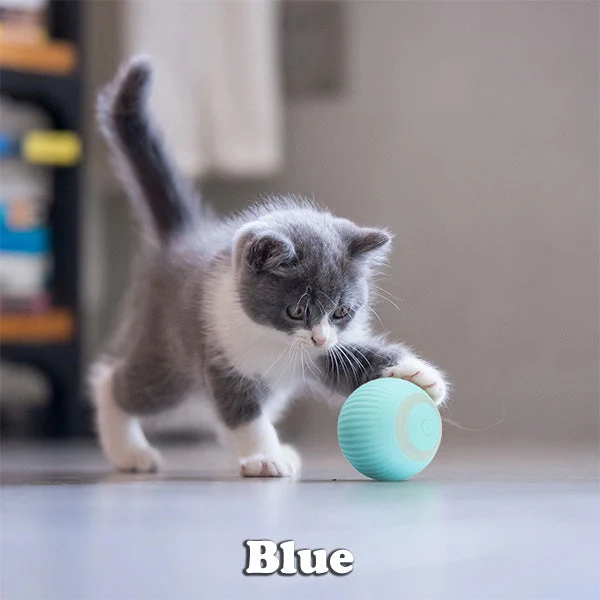 BUY 1 GET 1 FREE🔥The Smart Kitty Ball - Image 5