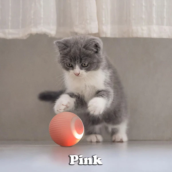 BUY 1 GET 1 FREE🔥The Smart Kitty Ball - Image 6