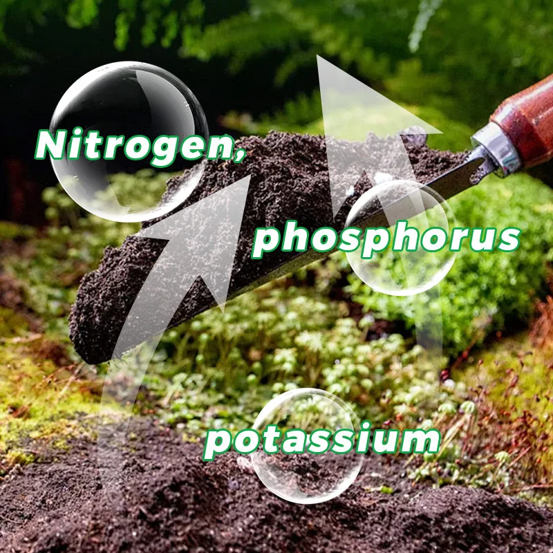10g/200g Water Soluble Bloom Fertilizer for Flowers - Image 6