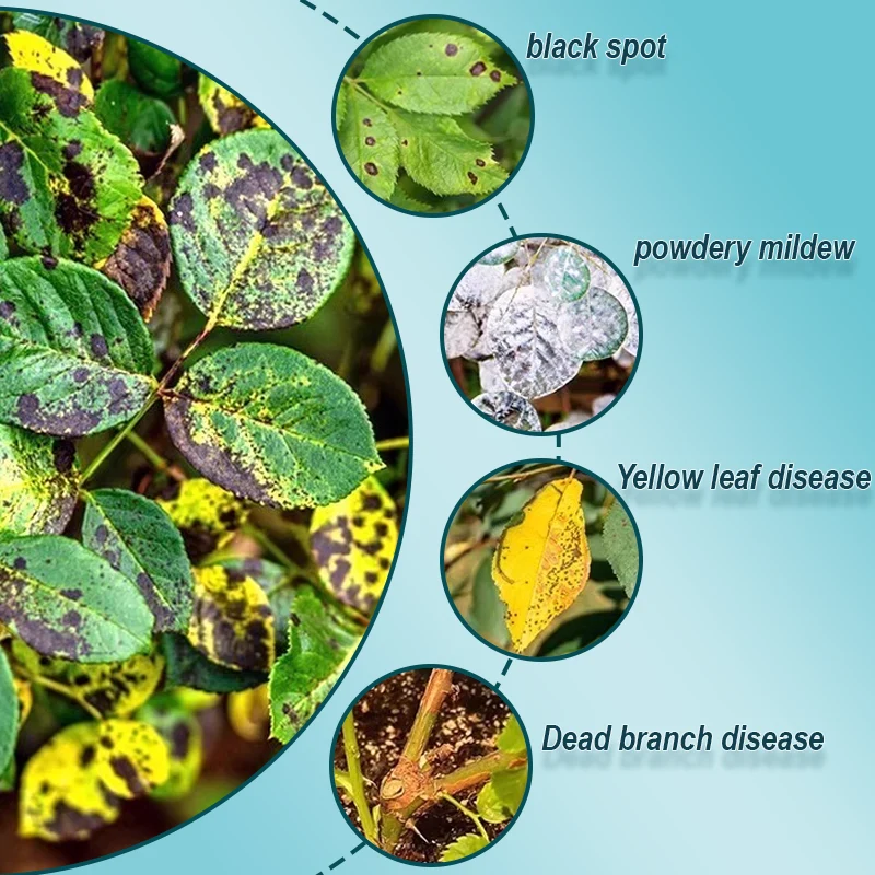 Universal Antimicrobial Agent for Plants - Image 6