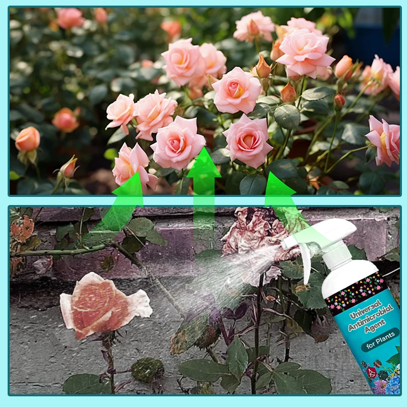 Universal Antimicrobial Agent for Plants - Image 8